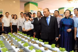 PM urges Hai Phong to take lead in agriculture modernisation