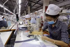 Nearly 100,000 enterprises established in eight months
