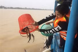 Plan to boost conservation, sustainable exploitation of aquatic resources