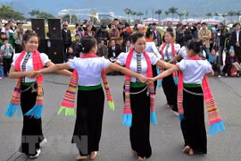 Thai ethnic cultural festival to take place in Dien Bien