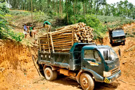 Agriculture ministry gathers ideas for timber regulations