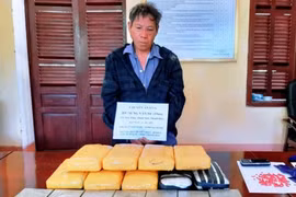 Thanh Hoa border guards seize seven bricks of heroin