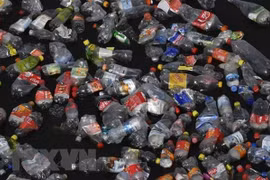 Vietnam vows to join efforts in marine debris combat 
