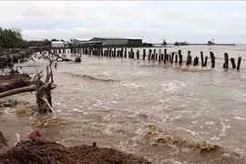 Kien Giang suffers from coastal erosion