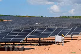 Solar power plant becomes operational in Ninh Thuan 