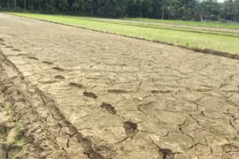 Prime Minister requests urgent actions to cope with drought