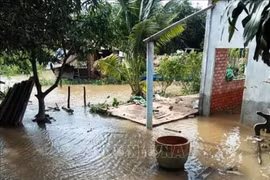 Ben Tre strives to ensure safety for locals in erosion-prone areas