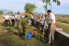 Practical activities responding to World Environment Day in Da Nang