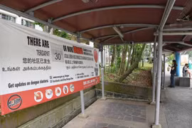 Singapore official warns of worsening dengue fever in dry season 