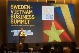 Vietnamese, Swedish firms talk partnership for sustainable growth 