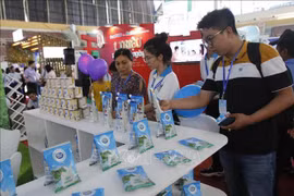 Vietnamese dairy products officially allowed into China