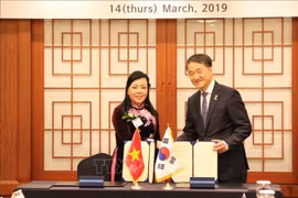 Vietnam, RoK enhance cooperation in health care