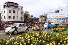 Bac Ha Plateau Festival kicks off