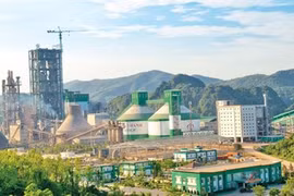 Cement sector expected to continue growth
