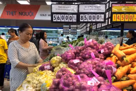HCM City’s CPI goes down slightly in June 