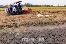 Drought forecast for central, south-central coastal provinces in 2019
