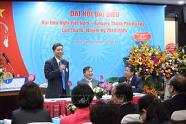 Association works hard to forge Vietnam-Hungary ties