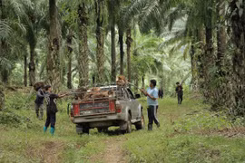 Thailand promotes southern economic development scheme