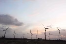 Trung Nam wind power plant’s second stage starts generation 