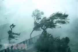 Workshop studies how technology can help cope with natural disasters
