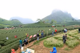 Planning scheme for Moc Chau national tourist site approved