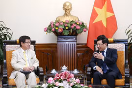 Deputy PM delighted at growing Vietnam – Japan ties 