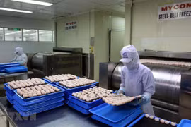 HCM city lures over 3.6 billion USD of FDI in 7 months 