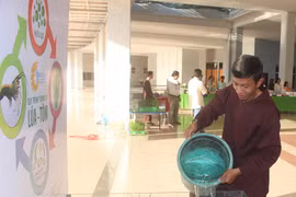 An Giang targets organic agriculture development