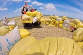 Rice exports bring home 2.24 billion USD in nine months