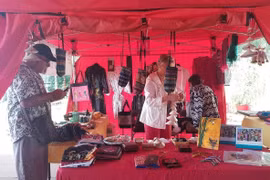 Vietnamese culture spotlighted at Choisy-le-Roi festival