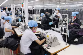Domestic labour market to hit 56 million in 2019