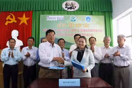 Vinh Long works to increase mango export to US