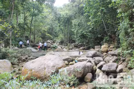 Bac Giang strives to preserve biodiversity in Tay Yen Tu