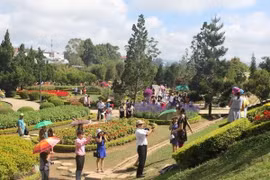 Flower Festival returns to Da Lat in December