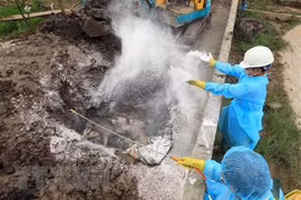 National steering committee set up to combat African Swine Fever 