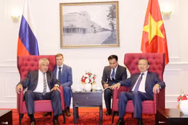 Vietnam, Russia promote collaboration in crime combat
