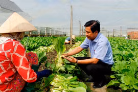 Long An develops advanced farming models