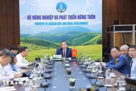 Deputy Minister of Agriculture and Rural Development Phung Duc Tien attends the 46th online meeting of the ASEAN Ministers on Agriculture and Forestry. (Photo: VNA)