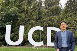 Associate Professor Dr. Tran Le Nam from the School of Electrical and Electronic Engineering under the University College Dublin (Photo: VNA)