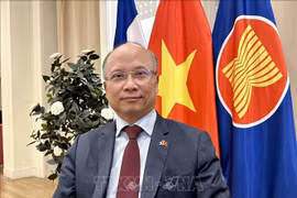 Vietnamese Ambassador to France Dinh Toan Thang (Photo: VNA)
