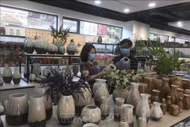 Hanoi eyes sustainability of community-based tourism