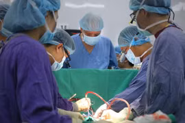 Vietnam masters six human organ transplant techniques