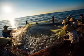 Fisheries sector striving to secure sustainable, responsible development