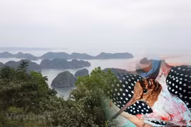 Preventing the poaching and trade of wild animals is one of the solutions to recover the ecosystem (Photo: VietnamPlus)