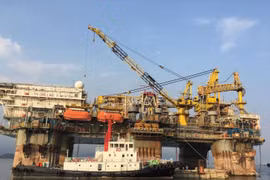 Petrovietnam subsidiaries expect great benefits from Lac Da Vang field
