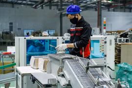 2022 FDI report to focus on green growth, economic structure