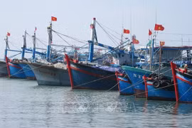 Tasks assigned to put an end to IUU fishing by year’s end