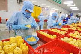 Vietnam eyes global top 10 in agricultural processing