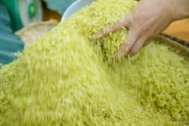 ‘Com’ - Delicacy that makes Hanoi’s autumn special