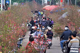 Tet markets – where the soul of countryside is found